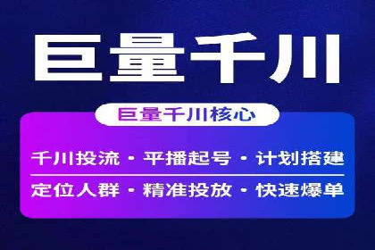 竞价广告的投放策略与效果评估——以一成功企业为例